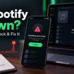 Spotify down